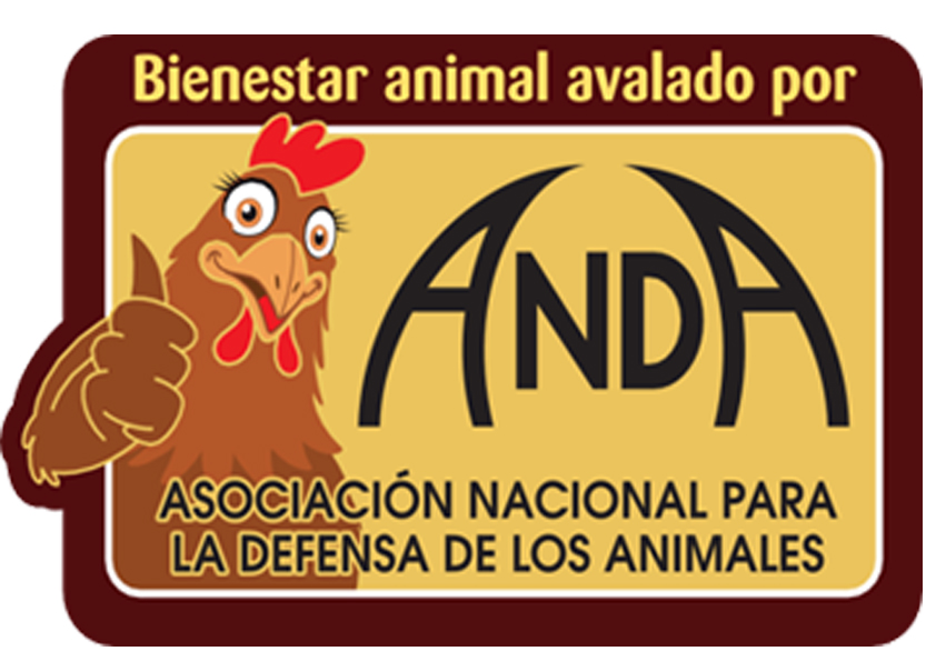 HUEVOS ANDA