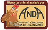anda logo
