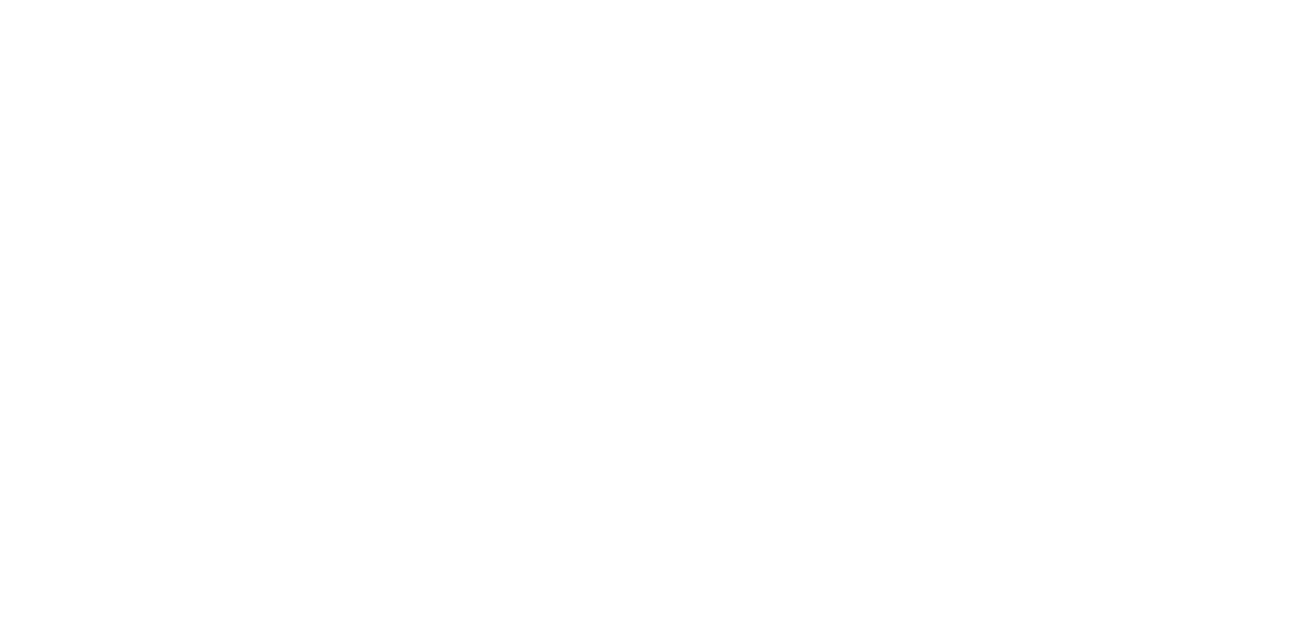 euskaber logo zuria