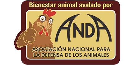 logo anda